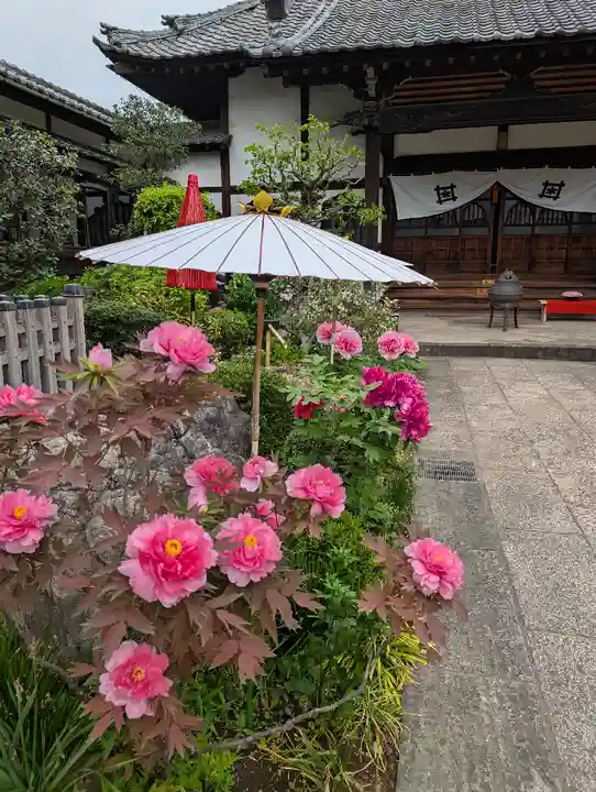 一乗寺(東京都)