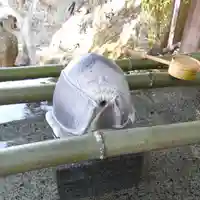 伊豫豆比古命神社(愛媛県)