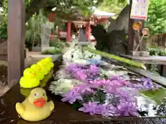 柏諏訪神社の手水