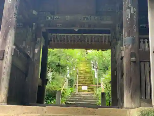 杉本寺の山門