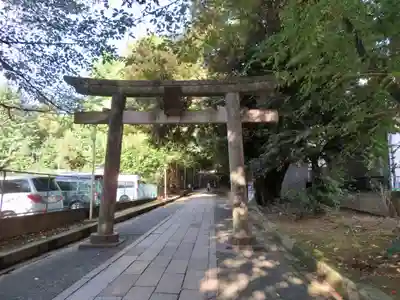 渋谷氷川神社の鳥居