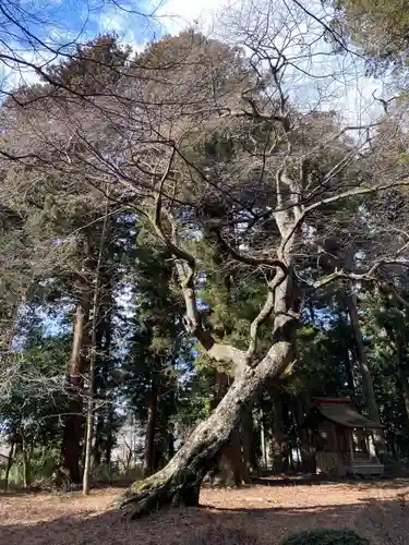 都々古別神社(馬場)の庭園