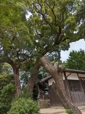 常磐神社(京都府)