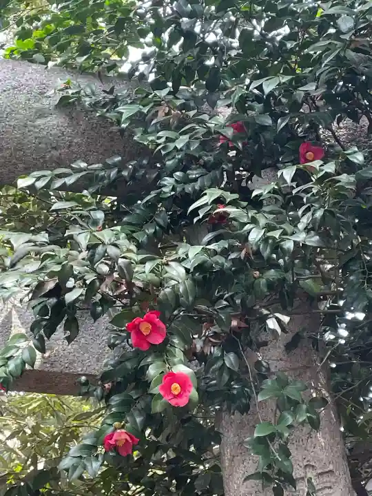 ときわ台天祖神社(東京都)
