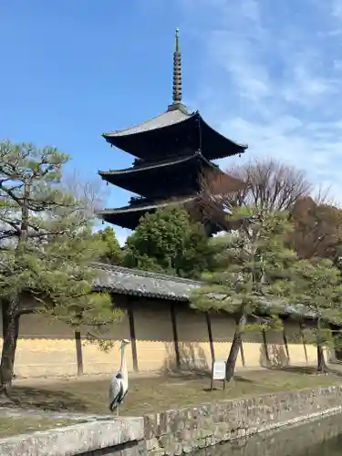 東寺（教王護国寺）(京都府)