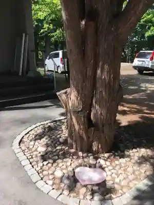 大谷地神社のその他建物