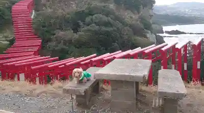 元乃隅神社の{uncategorized: "未分類", other: "その他", undefined: "問題あり", building: "その他建物", grave: "お墓", sacred_gate: "鳥居", guardian: "狛犬", statue: "像", buddha: "仏像", history: "歴史", nature: "自然", garden: "庭園", animal: "動物", pagoda: "塔", temizu: "手水舎", mountain_gate: "山門・神門", sanctuary: "本殿・本堂", subordinate: "末社・摂社", art: "芸術", scenery: "景色", jizo: "地蔵", ema: "絵馬", goshuin: "御朱印", omikuji: "おみくじ", items: "授与品その他", amulet: "お守り", goshuincho: "御朱印帳", eats: "食事", festival: "お祭り", votive_dance: "神楽", shichigosan: "七五三参", wedding: "結婚式", experience: "体験その他", initially: "初詣", around: "周辺", anti_infection: "感染症対策"}