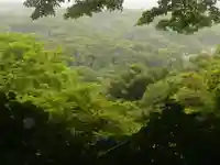 葛原岡神社の自然