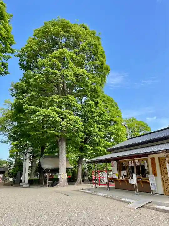 瀧宮神社の自然