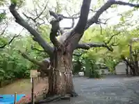 相馬神社の自然