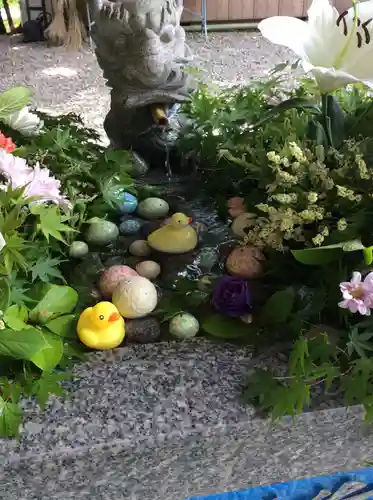 滑川神社 - 仕事と子どもの守り神の手水