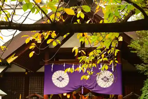 東京大神宮(東京都)