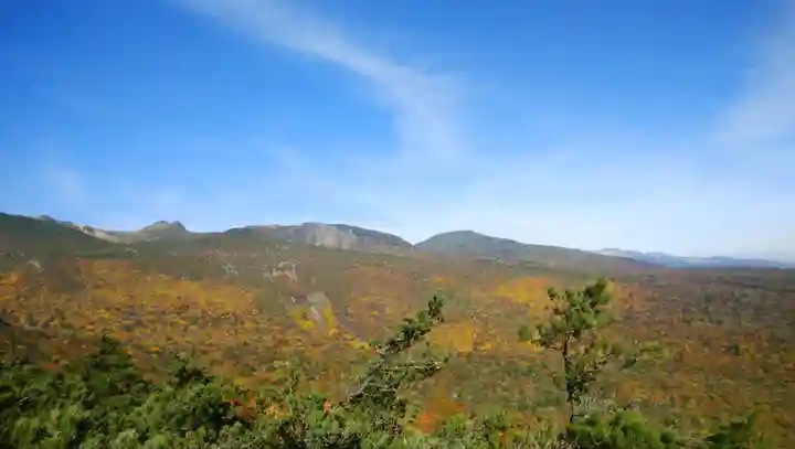岳温泉神社 (福島県)