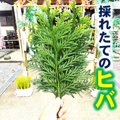 七重浜海津見神社(北海道)