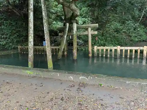 鹿島神宮(茨城県)