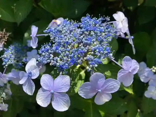 鷲神社(茨城県)