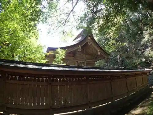 若狭姫神社（若狭彦神社下社）の本殿