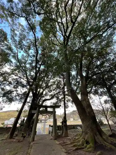 村社八幡宮の鳥居