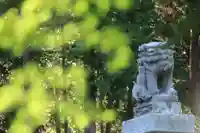 三春大神宮の狛犬