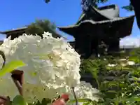秩父札所十三番 慈眼寺(埼玉県)