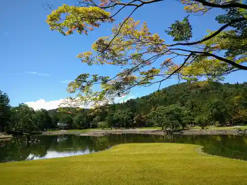 毛越寺の庭園