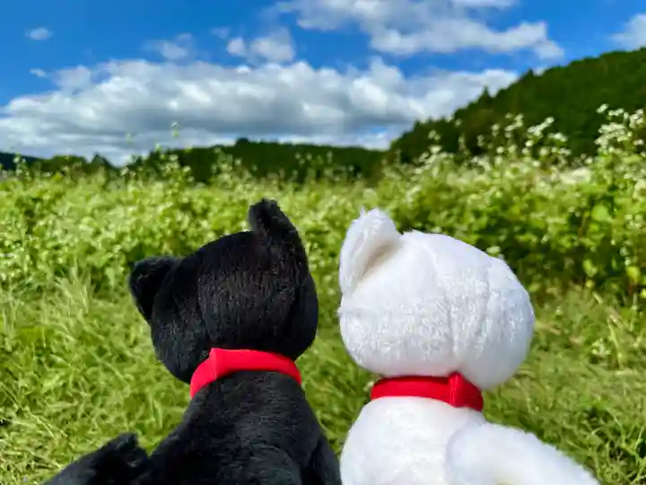 丹生都比売神社(和歌山県)
