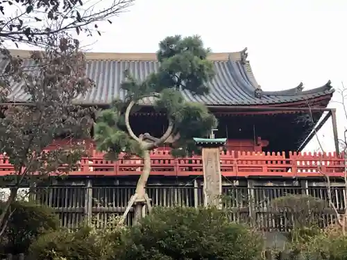 清水観音堂の本殿・本堂