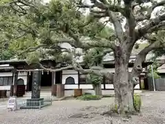 法華経寺(千葉県)