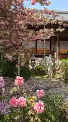 本満寺（本願満足寺）(京都府)