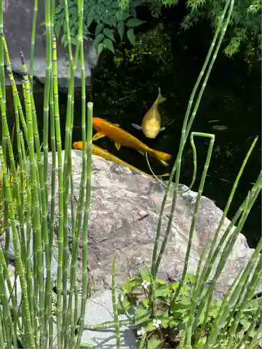 時宗総本山 遊行寺（正式：清浄光寺）(神奈川県)