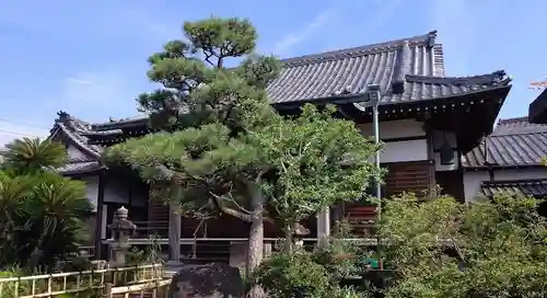 大日寺の本殿・本堂