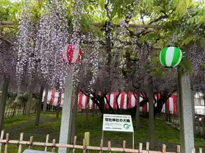 惣社神社の{uncategorized: "未分類", other: "その他", undefined: "問題あり", building: "その他建物", grave: "お墓", sacred_gate: "鳥居", guardian: "狛犬", statue: "像", buddha: "仏像", history: "歴史", nature: "自然", garden: "庭園", animal: "動物", pagoda: "塔", temizu: "手水舎", mountain_gate: "山門・神門", sanctuary: "本殿・本堂", subordinate: "末社・摂社", art: "芸術", scenery: "景色", jizo: "地蔵", ema: "絵馬", goshuin: "御朱印", omikuji: "おみくじ", items: "授与品その他", amulet: "お守り", goshuincho: "御朱印帳", eats: "食事", festival: "お祭り", votive_dance: "神楽", shichigosan: "七五三参", wedding: "結婚式", experience: "体験その他", initially: "初詣", around: "周辺", anti_infection: "感染症対策"}