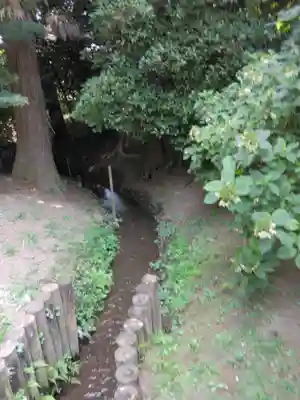 平林寺(埼玉県)