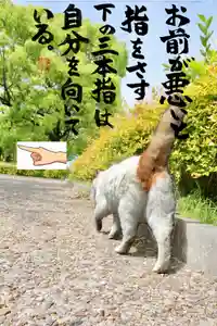 専念寺(大阪府)(2023年05月29日(月) 21時18分22秒投稿)