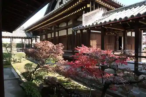 正法寺の庭園