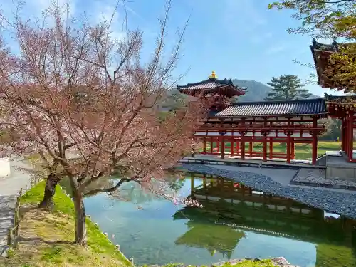 浄土院の庭園