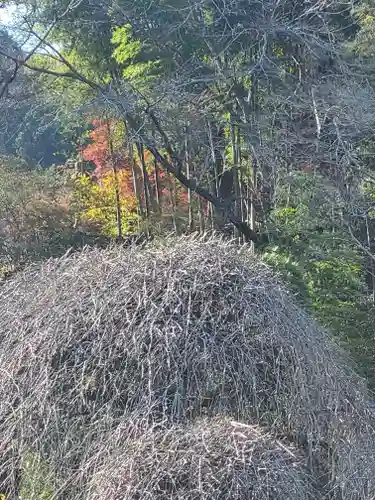 御嶽山神社(栃木県)