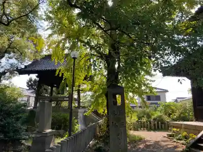 本徳寺のその他建物