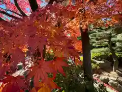 伊勢の国 四天王寺の自然