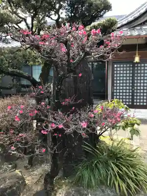 大聖院の庭園