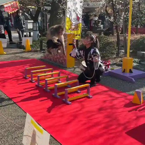 湯島天満宮のお祭り