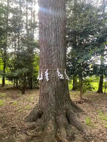 長良神社(群馬県)