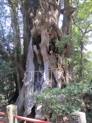 神崎神社(千葉県)