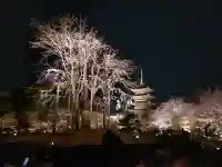 東寺(教王護国寺)の{uncategorized: "未分類", other: "その他", undefined: "問題あり", building: "その他建物", grave: "お墓", sacred_gate: "鳥居", guardian: "狛犬", statue: "像", buddha: "仏像", history: "歴史", nature: "自然", garden: "庭園", animal: "動物", pagoda: "塔", temizu: "手水舎", mountain_gate: "山門・神門", sanctuary: "本殿・本堂", subordinate: "末社・摂社", art: "芸術", scenery: "景色", jizo: "地蔵", ema: "絵馬", goshuin: "御朱印", omikuji: "おみくじ", items: "授与品その他", amulet: "お守り", goshuincho: "御朱印帳", eats: "食事", festival: "お祭り", votive_dance: "神楽", shichigosan: "七五三参", wedding: "結婚式", experience: "体験その他", initially: "初詣", around: "周辺", anti_infection: "感染症対策"}