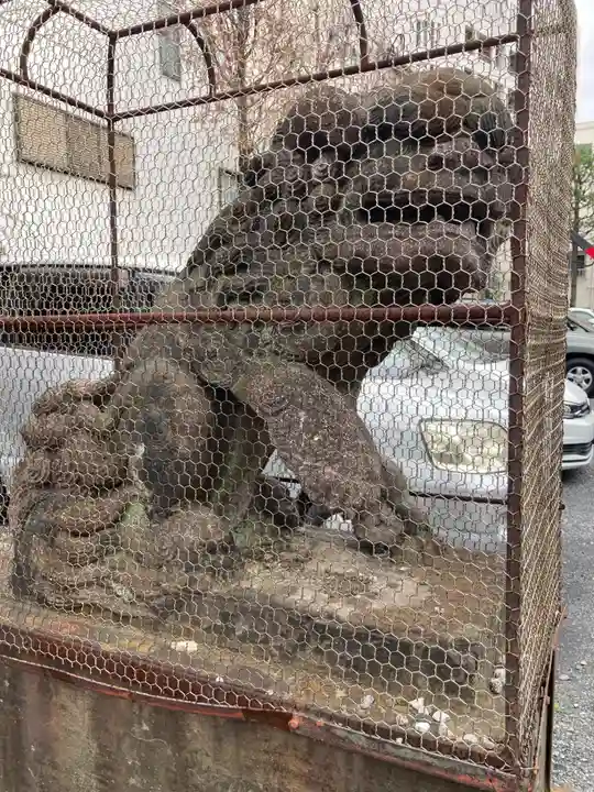 今戸神社(東京都)