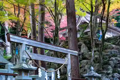 大矢田神社(岐阜県)