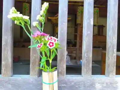 慈雲山 安楽寺の自然