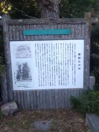 忍　諏訪神社・東照宮　(埼玉県)