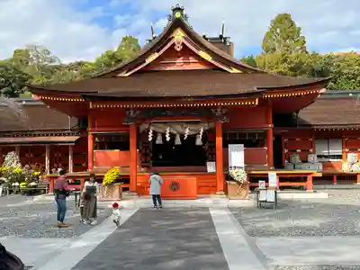 富士山本宮浅間大社(静岡県)