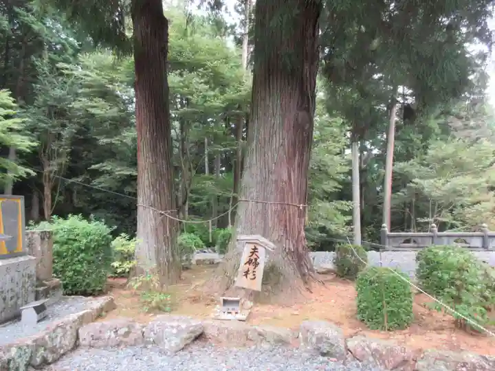 明石寺(愛媛県)